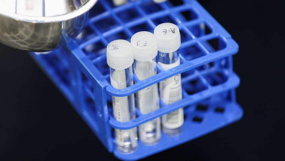Dinamarca confirma 183 casos de variante Ómicron: Dinamarca confirma 183 casos de variante Ómicron: