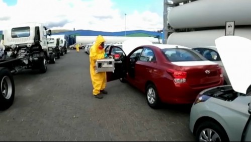 Plaga de 'alta peligrosidad' para Chile obliga a fumigar vehículos que ingresaron en embarcaciones donde fue detectada