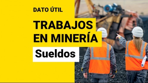 Hasta $2,9 millones: Conoce las profesiones mejores pagadas en la minería