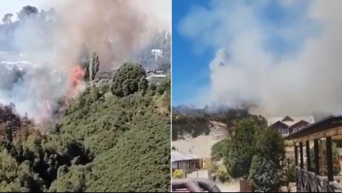 Incendio forestal en Castro: Onemi solicita evacuar diferentes sectores y se confirman decenas de casas afectadas