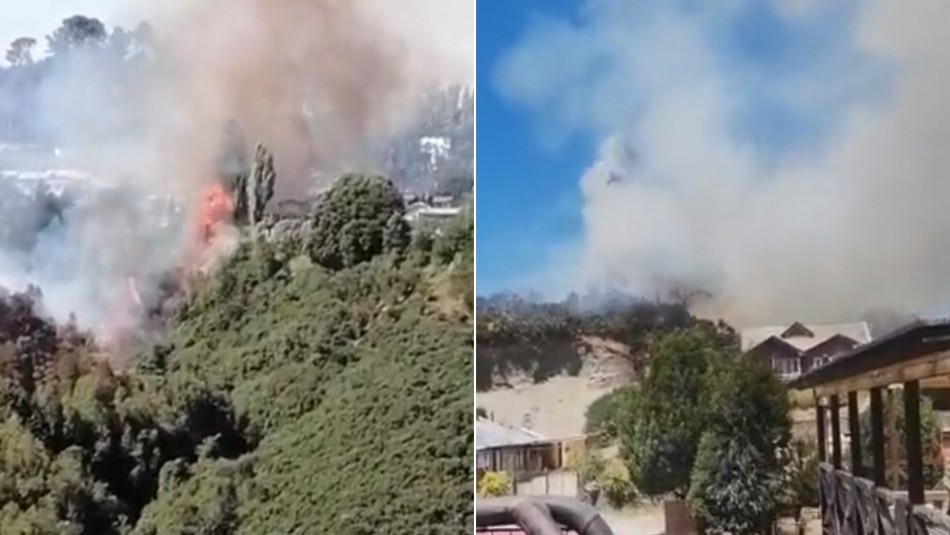 Incendio forestal en Castro: Onemi solicita evacuar diferentes sectores y se confirman decenas de casas afectadas Incendio forestal en Castro: Onemi solicita evacuar diferentes sectores y se confirman decenas de casas afectadas