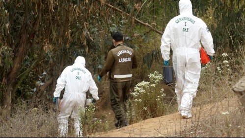 Caso de joven amarrada con alambre de púas y golpeada en Viña del Mar: Detienen a sujeto por 'femicidio frustrado'