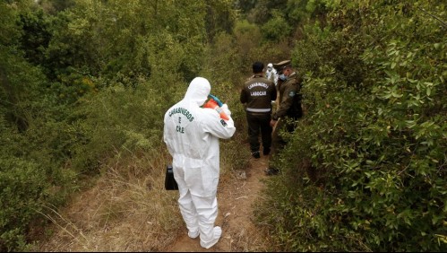 Caso de mujer amarrada con alambre de púas y golpeada en Viña: Imputado quedó en prisión preventiva