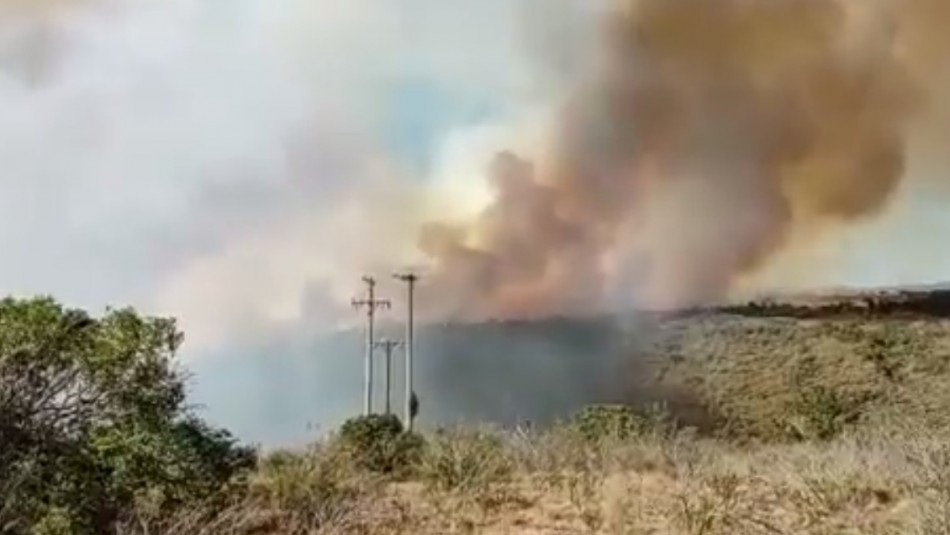 Decretan alerta roja por incendio forestal que amenaza a sectores poblados en Algarrobo