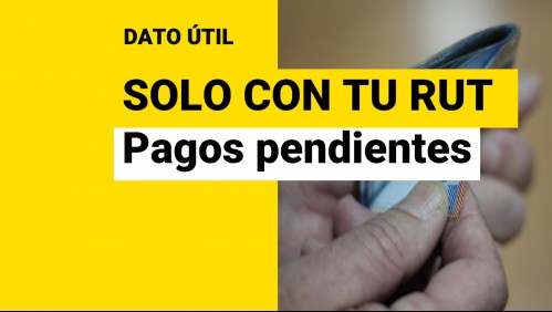 Solo con tu RUT: Revisa aquí si tienes bonos pendientes por cobrar en diciembre