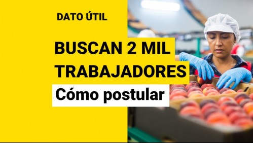 Ofrecen 2 mil puestos de trabajo en la Región Metropolitana: ¿Cuál es el único requisito y cómo puedo postular?