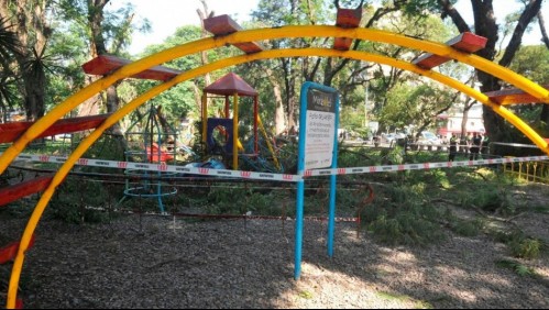 'Recen por ella': niña en estado crítico tras ser golpeada por árbol caído mientras jugaba en el parque