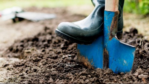 Suegro descuartizó y enterró a su yerno para quedarse con un terreno familiar
