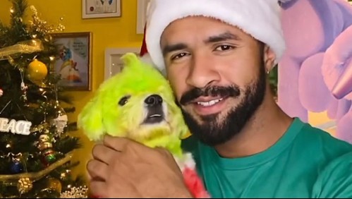 Acusan de maltrato animal a un peluquero canino por teñirlo como 'El Grinch': 'No hay nada adorable en esto'
