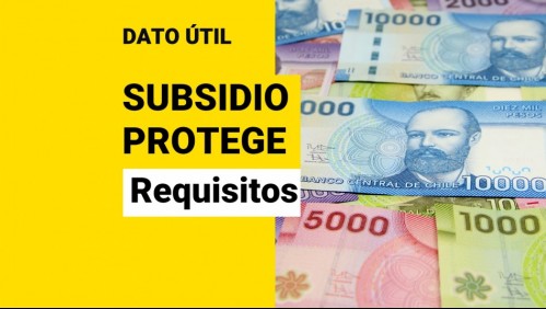 Subsidio Protege: ¿Cuáles son los requisitos para recibir el aporte de $200 mil mensuales?