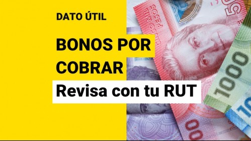 Solo con tu RUT: Revisa si tienes bonos pendientes de cobro en diciembre