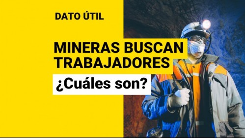 Sueldos parten en $900.000: ¿Qué mineras necesitan más de 25 mil trabajadores nuevos?