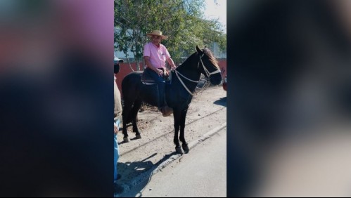 Quillotano llega a votar a caballo: 'Tomé mi yegua para venir a sufragar porque no tenía locomoción'