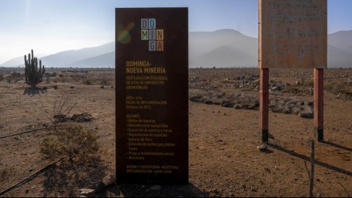 Aprueban creación de área marina protegida de Humboldt: Contempla zona donde se ubicaría proyecto minero Dominga