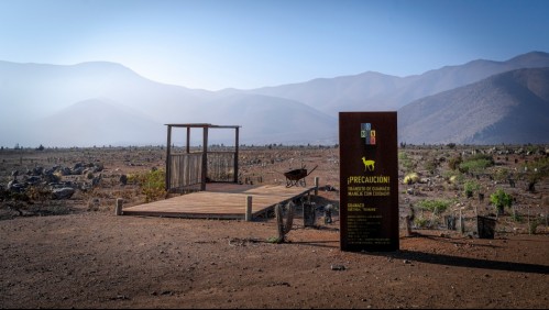 Prevén posible fin al Proyecto Dominga: 'Nos importa la protección y conservación de la biodiversidad'