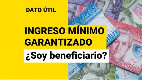 Ingreso Mínimo Garantizado: Entérate quiénes lo reciben y la forma de postular