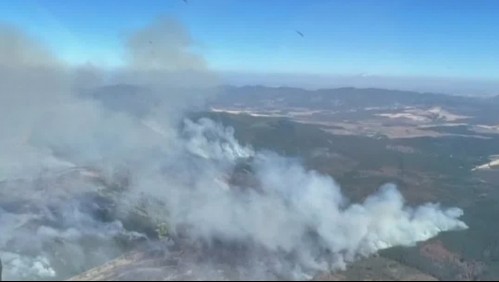 Alerta roja en La Araucanía por incendios forestales que han consumido más de 2 mil hectáreas