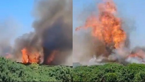 Videos muestran el gigantesco incendio forestal que afecta a Puerto Montt