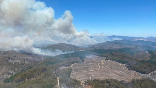 Director de Conaf por incendios forestales: 'Estamos en el peor escenario por la temperatura y viento'