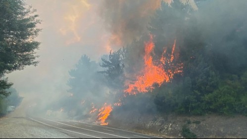 Onemi pide evacuar sector en la región de Ñuble por incendio forestal: Se activó mensajería SAE