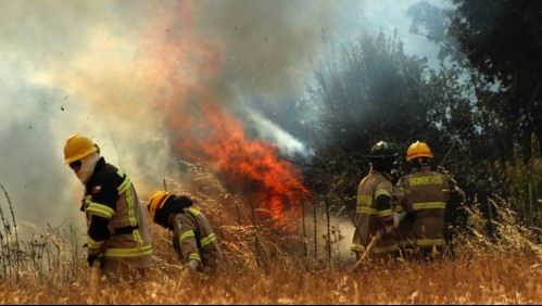 Alcalde de Los Sauces acusa que incendios forestales son 'algo intencional' y que han 'disparado a Bomberos'