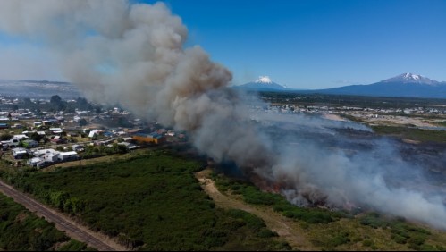 Último reporte por incendios forestales: Seis comunas del país están en 'Alerta Roja'