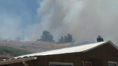 Se reactiva incendio forestal en Quillón y amenaza a viviendas: Onemi solicita evacuar sector de Coyanco
