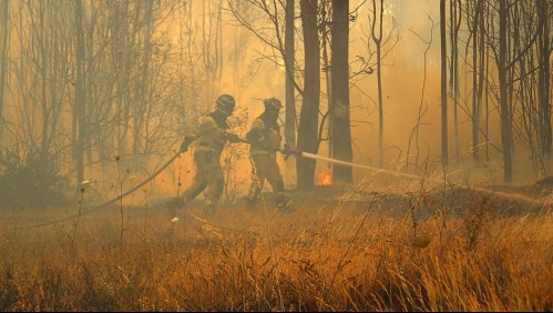 Gobierno confirma casi 180 incendios forestales activos en el país y califican situación como 'muy compleja'