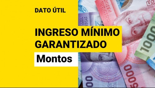 Ingreso Mínimo Garantizado: ¿Cuánto dinero recibiré y cómo puedo postular?