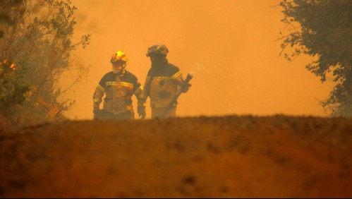 Ministros del Interior y Agricultura viajan a Quillón: Incendio forestal ha consumido más de 2.000 hectáreas