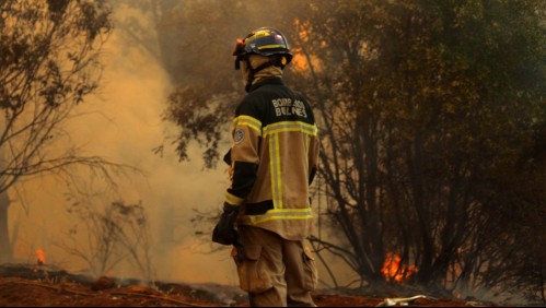 Gobierno informa que incendio en Quillón está 'contenido' y compromete ayuda a familias damnificadas