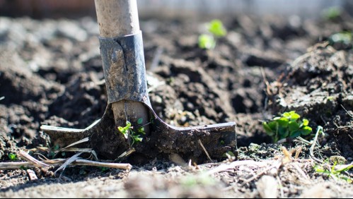 Mujer estrangula a una madre de 20 años y la entierra en su patio para quedarse con su hija