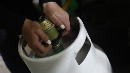 FNE recalca que es 'urgente' fomentar la competencia en el mercado del gas: Precio podría bajar hasta en un 20%