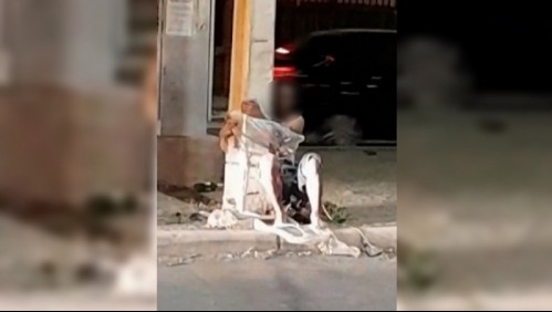 Detención ciudadana termina con hombre de 50 años amarrado a un poste en San Bernardo