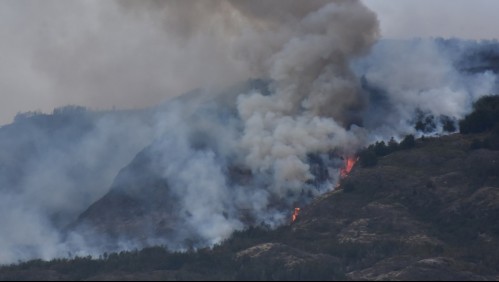 Balance incendios forestales en el país: 44 focos a nivel nacional, 13 viviendas destruidas y 4 damnificados
