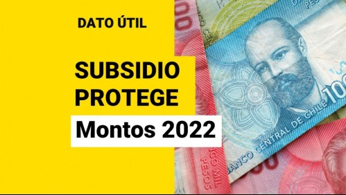 Extienden entrega del Subsidio Protege: ¿Cuáles serán los montos en 2022?