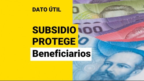 Subsidio Protege: ¿Quiénes reciben el aporte de $200 mil mensuales?