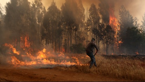 Onemi informa de 15 incendios forestales activos y Alerta Roja en la comuna de Quillón