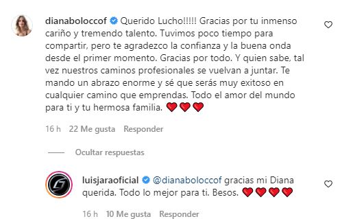 Comentario de Diana Bolocco