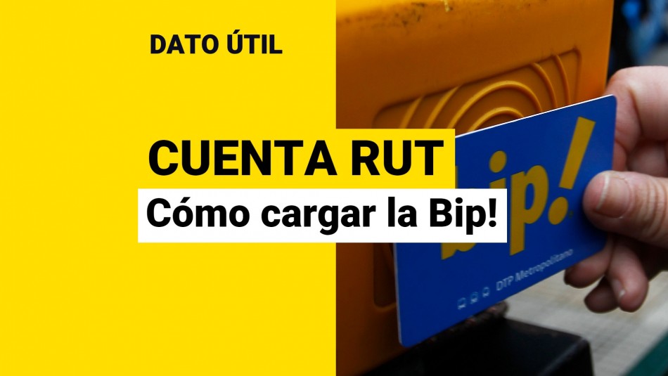 como-cargar-la-bip-con-cuenta-rut como cargar la bip con cuenta rut