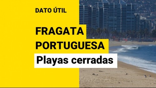 ¿Qué playas están cerradas por la aparición de la fragata portuguesa?