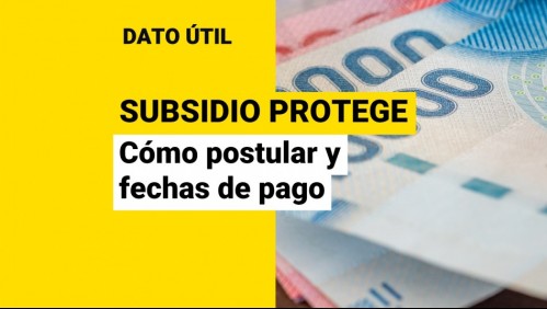 Subsidio Protege: ¿Cómo postular a los $200 mil mensuales y cuándo se pagan?