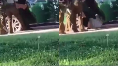 Carabineros desvincula a uniformado que arrojó violentamente al suelo a menor de 15 años