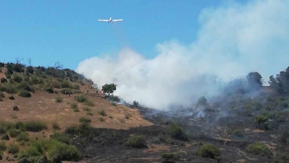 Declaran alerta roja por incendio forestal que amenaza a viviendas en Litueche