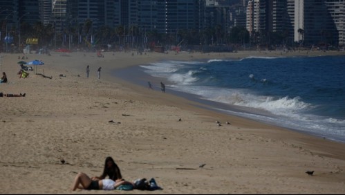Reabren playas de Puchuncaví, Viña del Mar y El Tabo ante nulo avistamiento de especies de fragata portuguesa