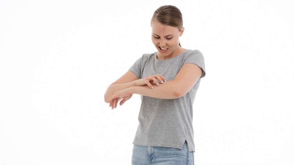 Plagas de verano: Los mejores consejos para no sufrir con moscas y tábanos Plagas de verano: Los mejores consejos para no sufrir con moscas y tábanos