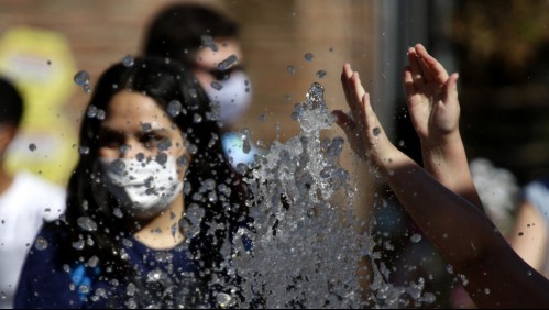 Hasta 36°C: Emiten alerta agrometeorológica por altas temperaturas en zona centro-sur de Chile