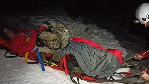 Montañista es salvado por un perro tras caer por barranco: Animal estuvo 13 horas sobre él para protegerlo del frío