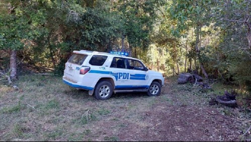 Hombre muere tras ser aplastado por un árbol: habría estado cortando leña