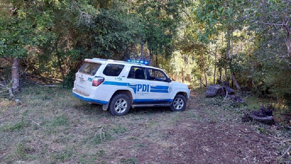 Hombre muere tras ser aplastado por un árbol: habría estado cortando leña Hombre muere tras ser aplastado por un árbol: habría estado cortando leña